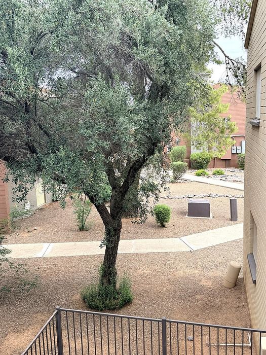 Serene courtyard view with lush trees and landscaped pathways, enhancing the peaceful apartment setting.