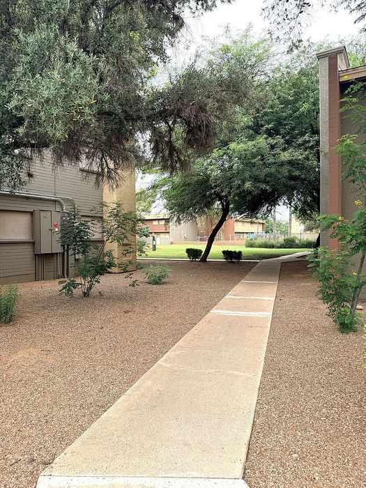 Peaceful walkway surrounded by lush greenery and modern buildings, ideal for tranquil living.