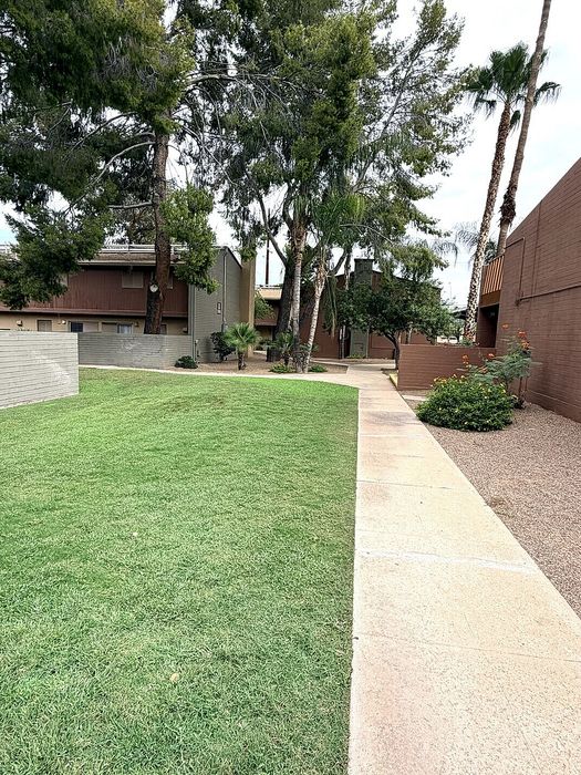 Tranquil apartment community view with lush green lawns, tall palm trees, and modern architecture.