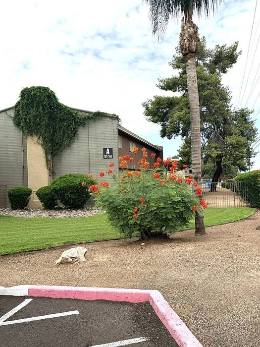 Charming apartment exterior with vibrant flowers, lush greenery, and a tall palm tree, creating a serene and inviting atmosphere.