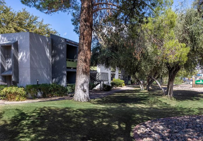 Charming apartment complex nestled among lush trees with cozy walkways and inviting outdoor spaces.