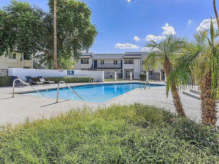 Luxurious apartment pool area with inviting lounge chairs, lush greenery, and modern building backdrop, perfect for relaxation and enjoyment under a clear blue sky.
