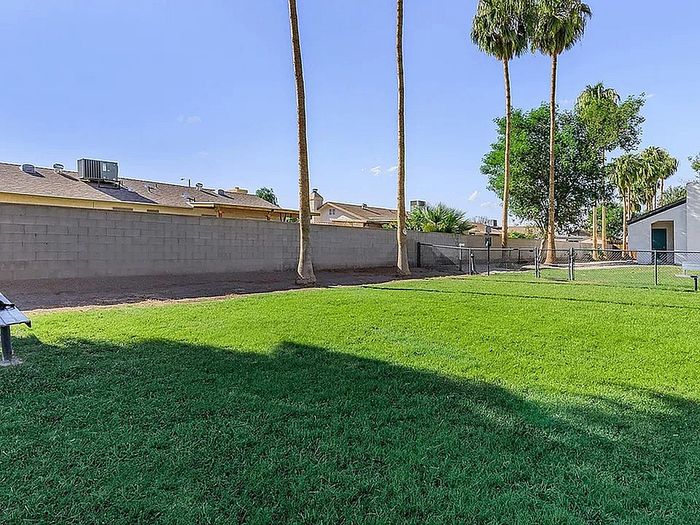 Lush green backyard with tall palm trees, perfect for relaxation and outdoor activities, in a serene neighborhood setting.