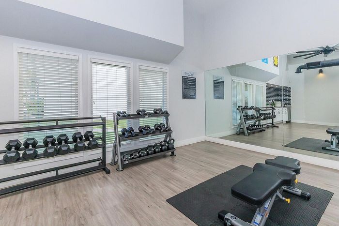 Modern apartment gym with sleek mirrored walls, bright natural lighting, and a variety of free weights and exercise equipment.