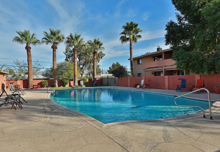 Inviting community pool surrounded by palm trees, offering a tranquil oasis for relaxation and leisure.