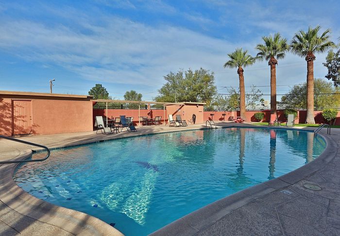 Inviting outdoor pool area with lush palm trees and cozy lounge seating, perfect for relaxation and leisure.