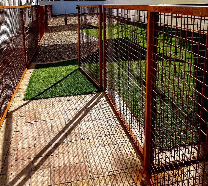 Inviting outdoor space featuring a fenced pathway with vibrant green lawn and decorative tiles, perfect for relaxation and enjoyment.