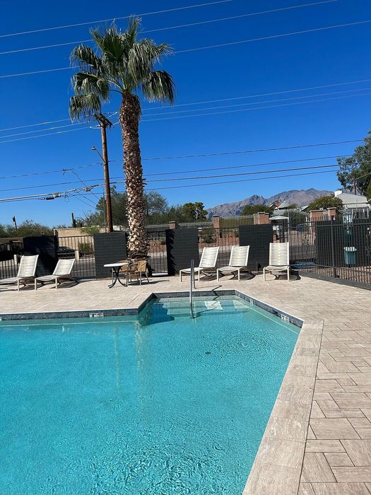 Inviting outdoor pool area with lounge chairs and a palm tree, offering stunning mountain views under a clear blue sky.