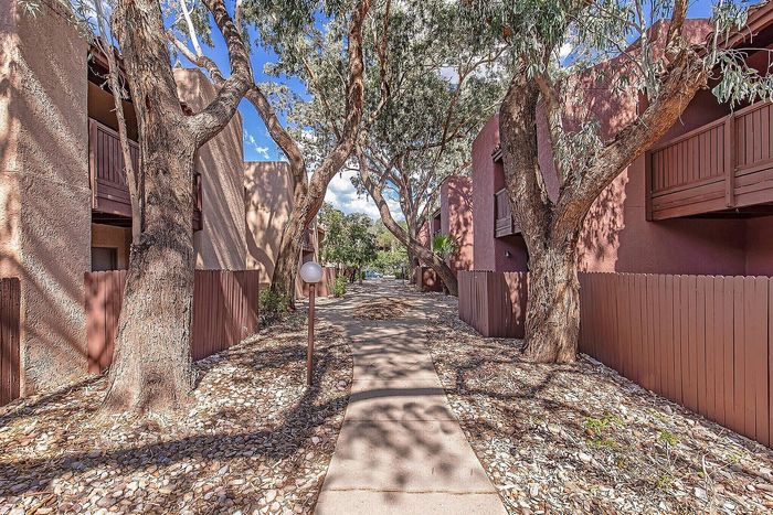 Charming apartment walkway with mature trees and natural landscaping under a bright blue sky.