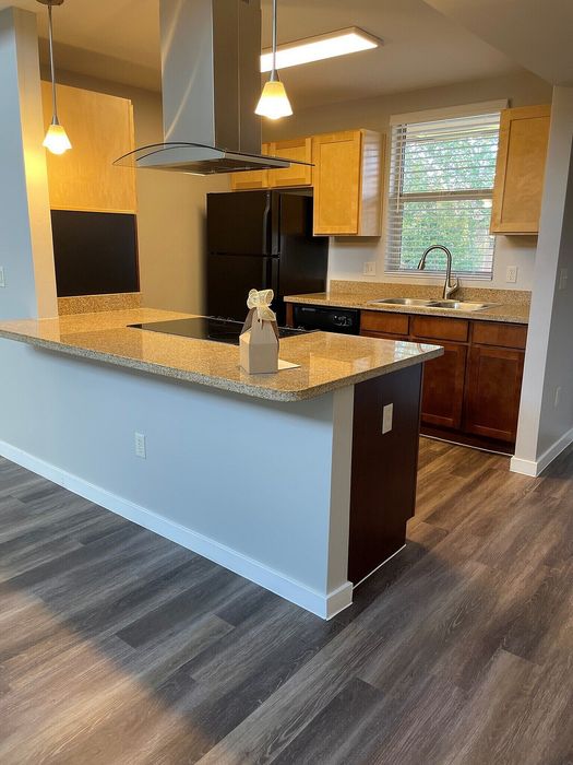 Modern kitchen with sleek granite countertops, stylish cabinets, and inviting pendant lighting, perfect for cooking enthusiasts.