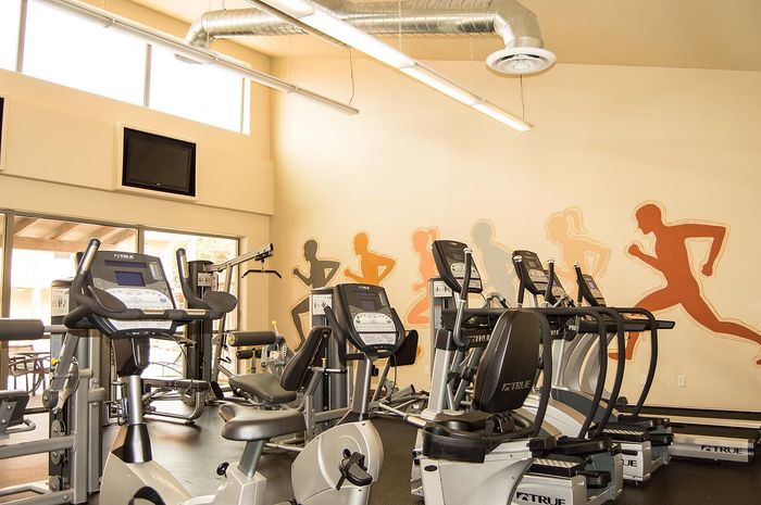 Bright and modern fitness center featuring state-of-the-art cardio machines and inspiring runner art on the walls.