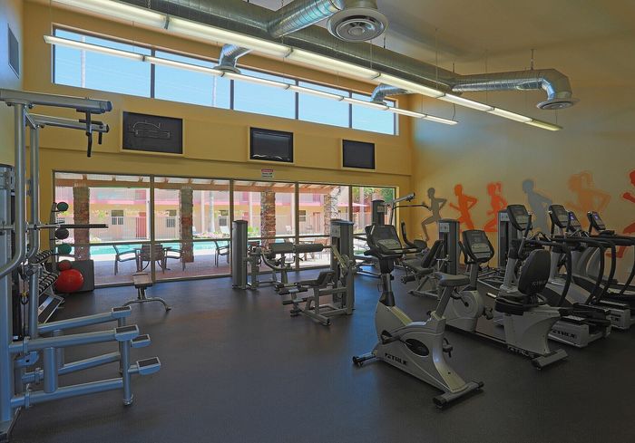 Modern gym facility featuring state-of-the-art exercise equipment with vibrant wall art and large windows offering natural light.