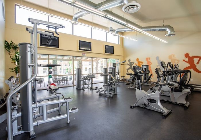 Bright and spacious apartment gym equipped with modern fitness machines, vibrant wall art, and large windows for natural light.
