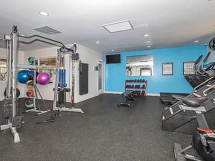 Modern fitness center featuring state-of-the-art equipment, including weight machines, cardio machines, and exercise balls, in a bright and spacious setting.