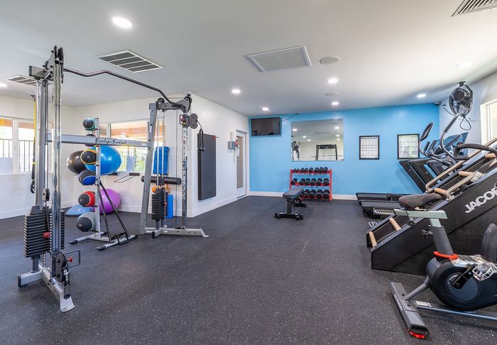Modern fitness center featuring state-of-the-art equipment, including weight machines, cardio machines, and exercise balls, in a bright and spacious setting.