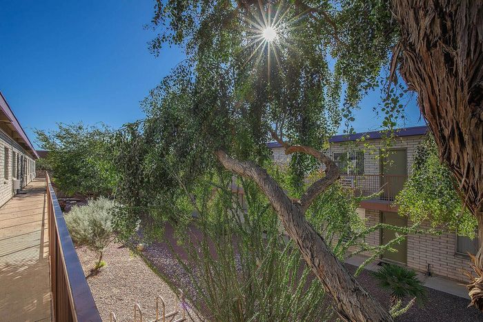 Charming sunny view from balcony, showcasing lush green trees and serene courtyard of a modern apartment complex.