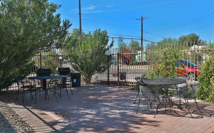 Charming outdoor patio with stylish metal chairs, perfect for relaxing under the sun amidst lush greenery.