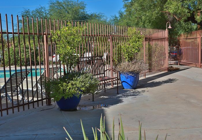 Charming outdoor patio area with vibrant blue planters, lush greenery, and inviting pool views, perfect for relaxation and entertainment.