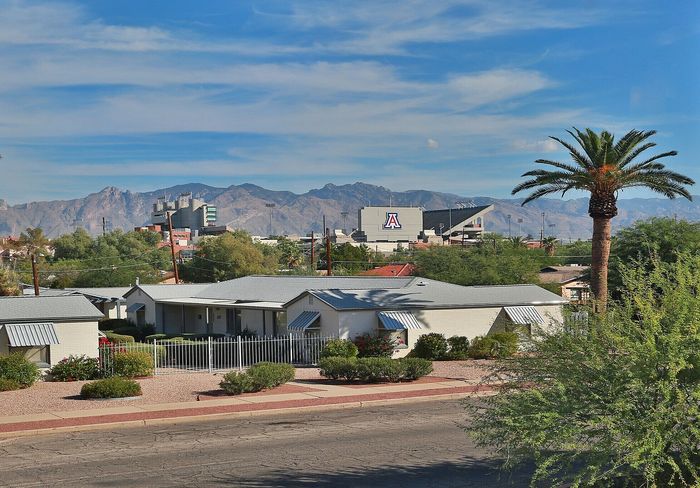 Charming neighborhood view with picturesque mountain backdrop, lush palm trees, and inviting community setting.