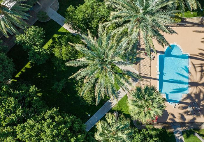 Aerial view of a luxurious outdoor pool surrounded by lush greenery and palm trees, creating a serene tropical oasis.