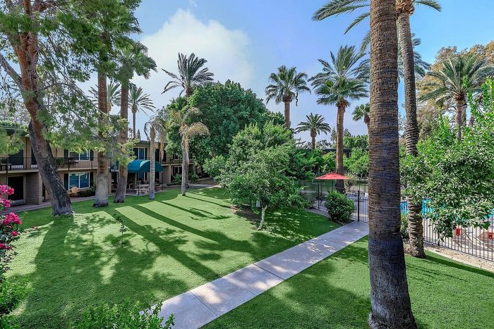 Serene apartment courtyard with lush greenery and graceful palm trees, neighboring a refreshing pool area for a relaxing oasis experience.