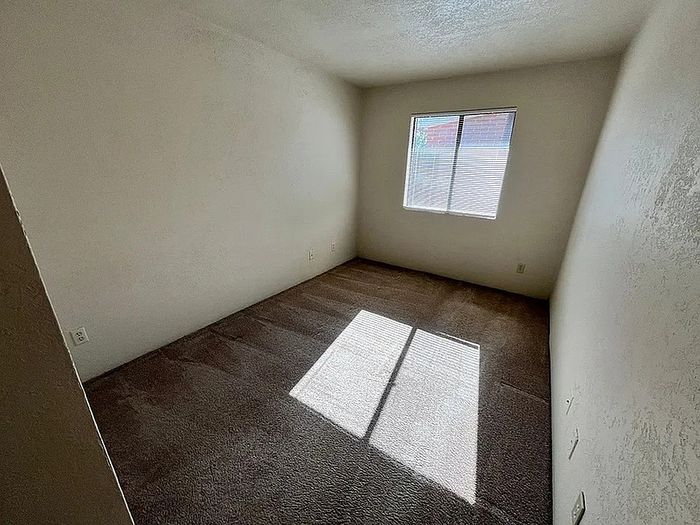 Bright, spacious room with plush carpet and natural light streaming through a large window, creating a warm and inviting atmosphere.