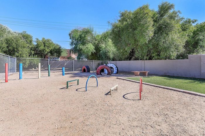 Spacious outdoor playground featuring colorful agility obstacles and scenic greenery, perfect for active pet playtime.