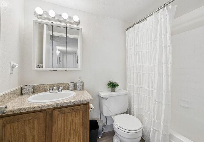 Elegant bathroom featuring a modern vanity with granite countertop, sleek mirror cabinets, and a charming shower curtain.