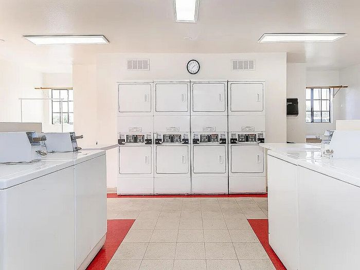 Bright and spacious laundry facility featuring multiple washing machines, modern design, and large windows for natural light.