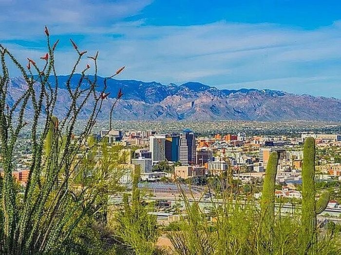 Breathtaking cityscape view with vibrant skyline, lush greenery, and majestic mountain backdrop.