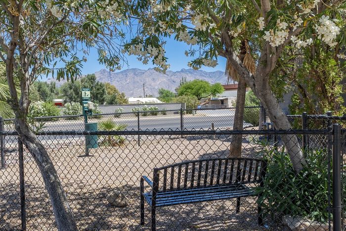 Tranquil outdoor space with a shaded bench, vibrant greenery, and a breathtaking mountain view, perfect for relaxation.