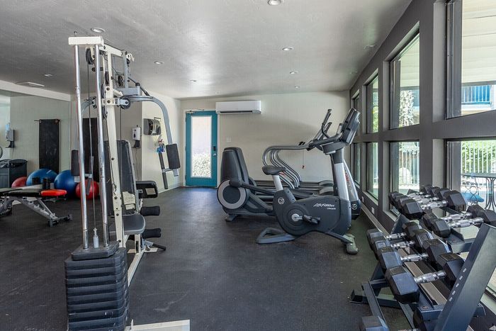 Modern fitness center with cardio machines, strength training equipment, and large windows for natural light.