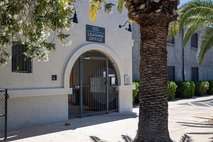 Inviting leasing office entrance surrounded by lush palm trees and bright floral accents, set in a charming stucco building.