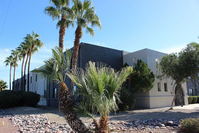 Charming apartment building with a modern facade, surrounded by lush palm trees and a clear blue sky.