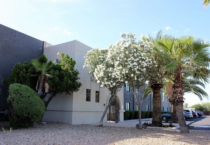 Modern apartment exterior with lush landscaping, featuring palm trees and white flowering shrubs under a clear blue sky.