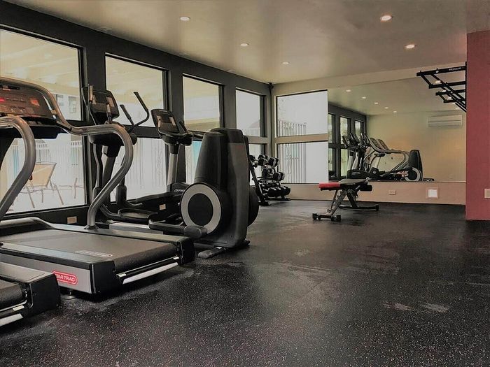 Inviting fitness center with modern cardio equipment, strength machines, and ample natural light, perfect for energizing workouts.