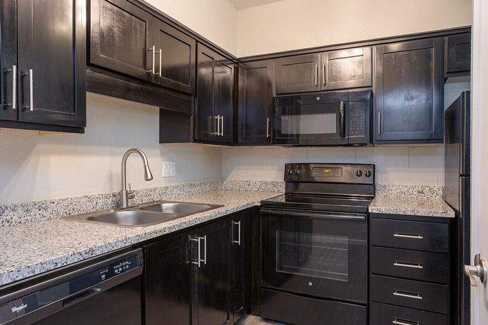 Contemporary kitchen featuring sleek black cabinets, granite countertops, and modern appliances for a stylish cooking space.