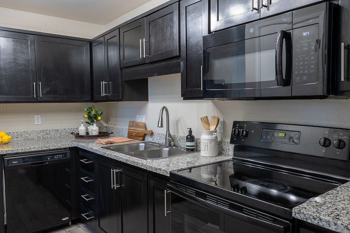 Modern kitchen with sleek black cabinetry, stainless steel appliances, and granite countertops, accented by a decorative plant and fruit tray.