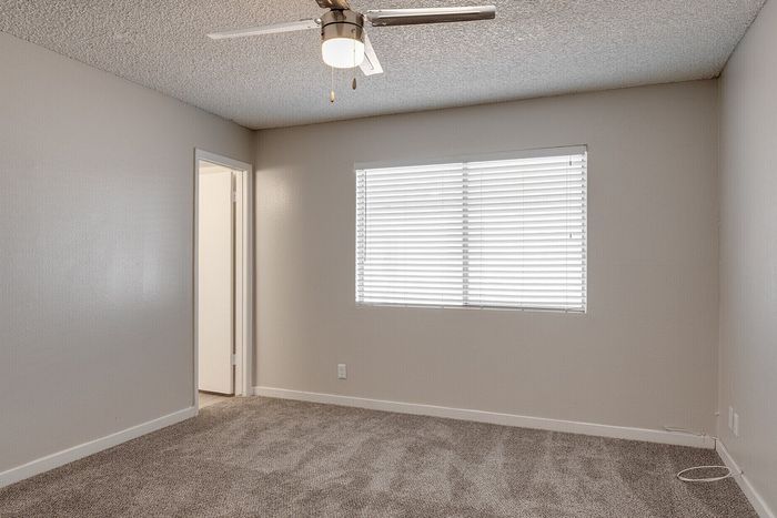 Bright and inviting bedroom with plush carpet, large window with blinds, and a sleek ceiling fan.