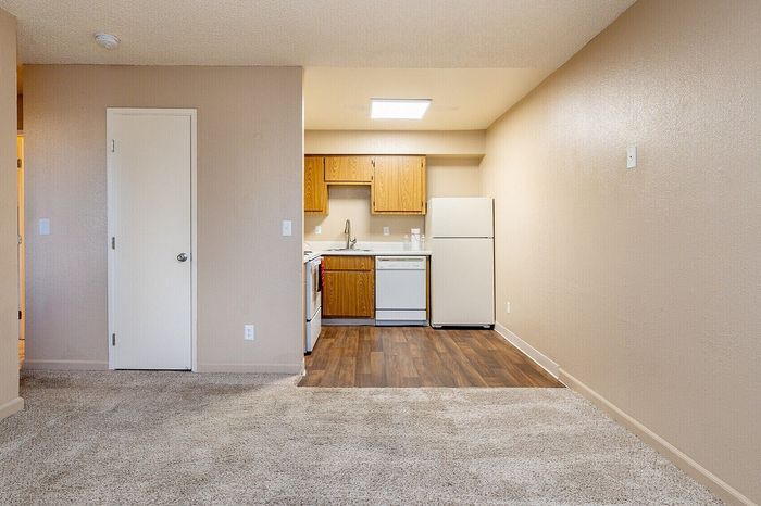 Cozy open-plan apartment featuring a bright kitchen with wooden cabinets and modern appliances, complemented by plush carpeted flooring.
