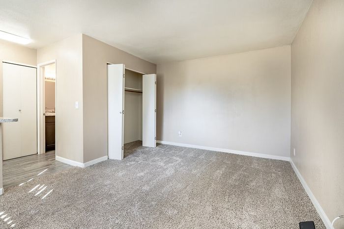 Bright and inviting apartment with plush carpet, spacious closet, and modern kitchenette.