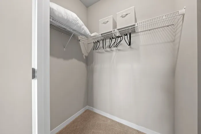 Spacious and organized walk-in closet featuring wire shelving, hangers, and storage boxes.