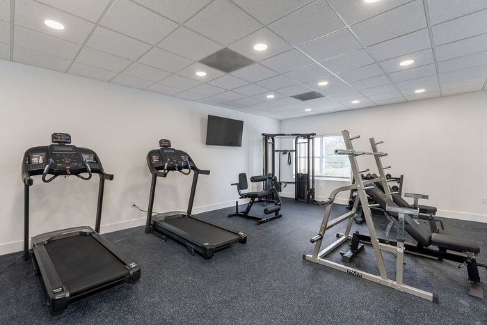 Modern fitness center with well-maintained treadmills, weightlifting equipment, and ample natural light.