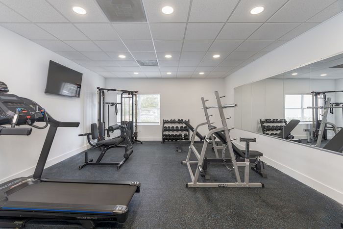 Modern fitness center with state-of-the-art equipment including treadmill, weight racks, and training machines, well-lit and spacious.