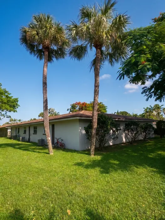 Tropical apartment setting with lush green lawn, tall palm trees, and charming bicycle by the entrance.