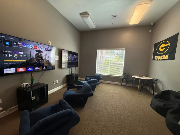 Modern entertainment room featuring dual large screen TVs, plush seating, and vibrant decor for an engaging viewing experience.