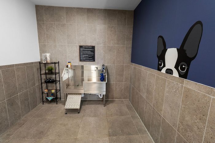 Modern pet washing station with stainless steel tub and playful dog mural on the wall, showcasing pet-friendly amenities.