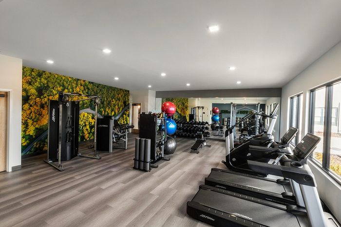 Luxurious fitness center with modern equipment, vibrant wall mural, and large windows for natural light.