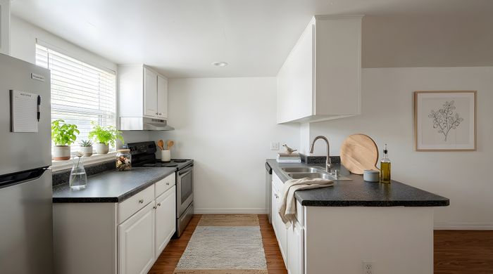 Bright and modern kitchen with sleek countertops, stainless steel appliances, and abundant natural light, ideal for gourmet cooking.