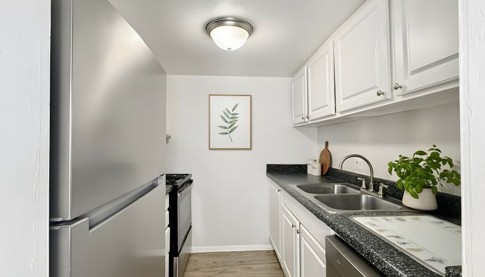Chic modern kitchen with sleek countertops, stainless steel appliances, and elegant white cabinetry, perfect for culinary creativity.